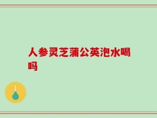 人参灵芝蒲公英泡水喝吗