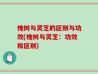 槐树与灵芝的区别与功效(槐树与灵芝：功效和区别)