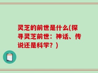 灵芝的前世是什么(探寻灵芝前世：神话、传说还是科学？)