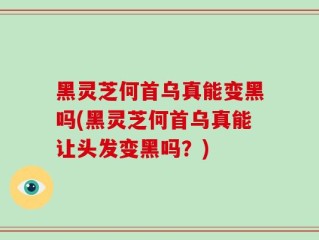 黑灵芝何首乌真能变黑吗(黑灵芝何首乌真能让头发变黑吗？)