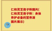 仁和灵芝孢子粉图片(仁和灵芝孢子粉：身体养护必备的营养源  图片展示)