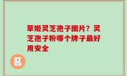 草姬灵芝孢子图片？灵芝孢子粉哪个牌子最好用安全