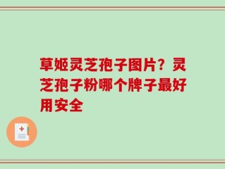 草姬灵芝孢子图片？灵芝孢子粉哪个牌子最好用安全