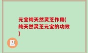 元宝纯天然灵芝作用(纯天然灵芝元宝的功效)
