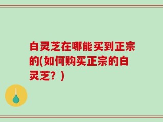 白灵芝在哪能买到正宗的(如何购买正宗的白灵芝？)