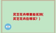 灵芝花卉哪里能买到(灵芝花卉在哪买？)