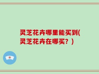 灵芝花卉哪里能买到(灵芝花卉在哪买？)
