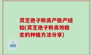灵芝孢子粉高产稳产经验(灵芝孢子粉高效稳定的种植方法分享)