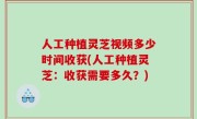人工种植灵芝视频多少时间收获(人工种植灵芝：收获需要多久？)