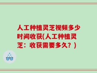 人工种植灵芝视频多少时间收获(人工种植灵芝：收获需要多久？)