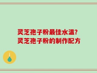 灵芝孢子粉最佳水温？灵芝孢子粉的制作配方