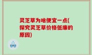 灵芝草为啥便宜一点(探究灵芝草价格低廉的原因)