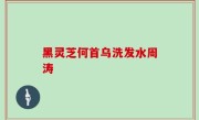 黑灵芝何首乌洗发水周涛