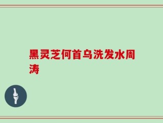 黑灵芝何首乌洗发水周涛