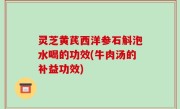 灵芝黄芪西洋参石斛泡水喝的功效(牛肉汤的补益功效)