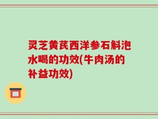 灵芝黄芪西洋参石斛泡水喝的功效(牛肉汤的补益功效)
