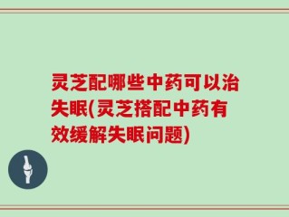 灵芝配哪些中药可以治失眠(灵芝搭配中药有效缓解失眠问题)
