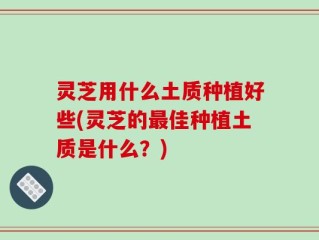 灵芝用什么土质种植好些(灵芝的最佳种植土质是什么？)