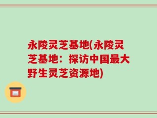 永陵灵芝基地(永陵灵芝基地：探访中国最大野生灵芝资源地)