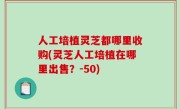 人工培植灵芝都哪里收购(灵芝人工培植在哪里出售？-50)