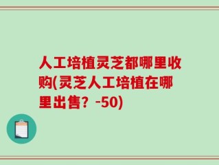 人工培植灵芝都哪里收购(灵芝人工培植在哪里出售？-50)