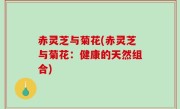 赤灵芝与菊花(赤灵芝与菊花：健康的天然组合)