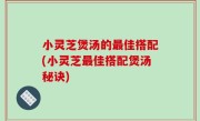 小灵芝煲汤的最佳搭配(小灵芝最佳搭配煲汤秘诀)