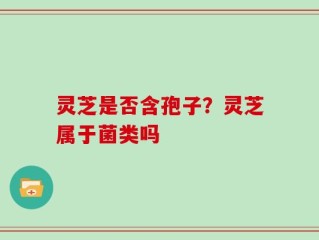 灵芝是否含孢子？灵芝属于菌类吗