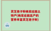灵芝孢子粉杨家庄园土特产(杨家庄园出产的营养丰富灵芝孢子粉)