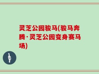 灵芝公园骏马(骏马奔腾·灵芝公园变身赛马场)