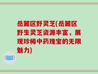 岳麓区野灵芝(岳麓区野生灵芝资源丰富，展现珍稀中药瑰宝的无限魅力)
