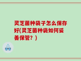 灵芝菌种袋子怎么保存好(灵芝菌种袋如何妥善保管？)