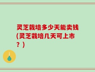 灵芝栽培多少天能卖钱(灵芝栽培几天可上市？)