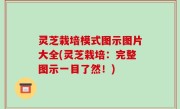 灵芝栽培模式图示图片大全(灵芝栽培：完整图示一目了然！)