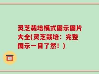 灵芝栽培模式图示图片大全(灵芝栽培：完整图示一目了然！)