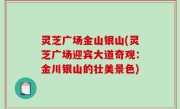 灵芝广场金山银山(灵芝广场迎宾大道奇观：金川银山的壮美景色)