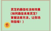 灵芝的最佳吃法和效果(如何最佳食用灵芝？掌握这些方法，让你功效倍增！)