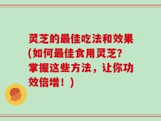 灵芝的最佳吃法和效果(如何最佳食用灵芝？掌握这些方法，让你功效倍增！)