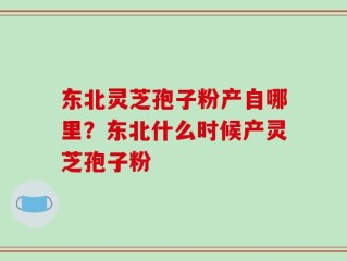 东北灵芝孢子粉产自哪里？东北什么时候产灵芝孢子粉