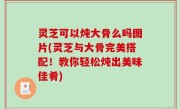 灵芝可以炖大骨么吗图片(灵芝与大骨完美搭配！教你轻松炖出美味佳肴)