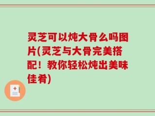 灵芝可以炖大骨么吗图片(灵芝与大骨完美搭配！教你轻松炖出美味佳肴)