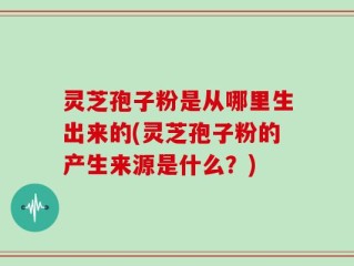 灵芝孢子粉是从哪里生出来的(灵芝孢子粉的产生来源是什么？)