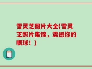 雪灵芝图片大全(雪灵芝照片集锦，震撼你的眼球！)