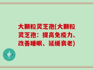 大颗粒灵芝孢(大颗粒灵芝孢：提高免疫力、改善睡眠、延缓衰老)
