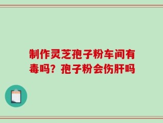 制作灵芝孢子粉车间有毒吗？孢子粉会伤肝吗