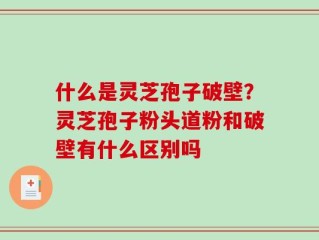 什么是灵芝孢子破壁？灵芝孢子粉头道粉和破壁有什么区别吗