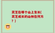 灵芝在哪个山上生长(灵芝成长的山林在何方？)
