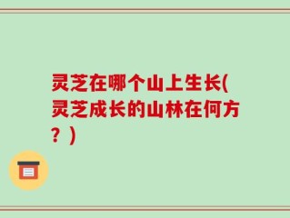 灵芝在哪个山上生长(灵芝成长的山林在何方？)