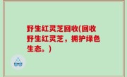 野生红灵芝回收(回收野生红灵芝，拥护绿色生态。)