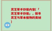 灵芝草手抄报内容(「灵芝草手抄报」，探寻灵芝与草本植物的奥秘)